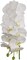 6-Pack: Massive White Phalaenopsis Orchid Stem, Floral Home by Artificial Flowers